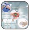WH - Infection Prevention Brochure - L1001327 - 201310